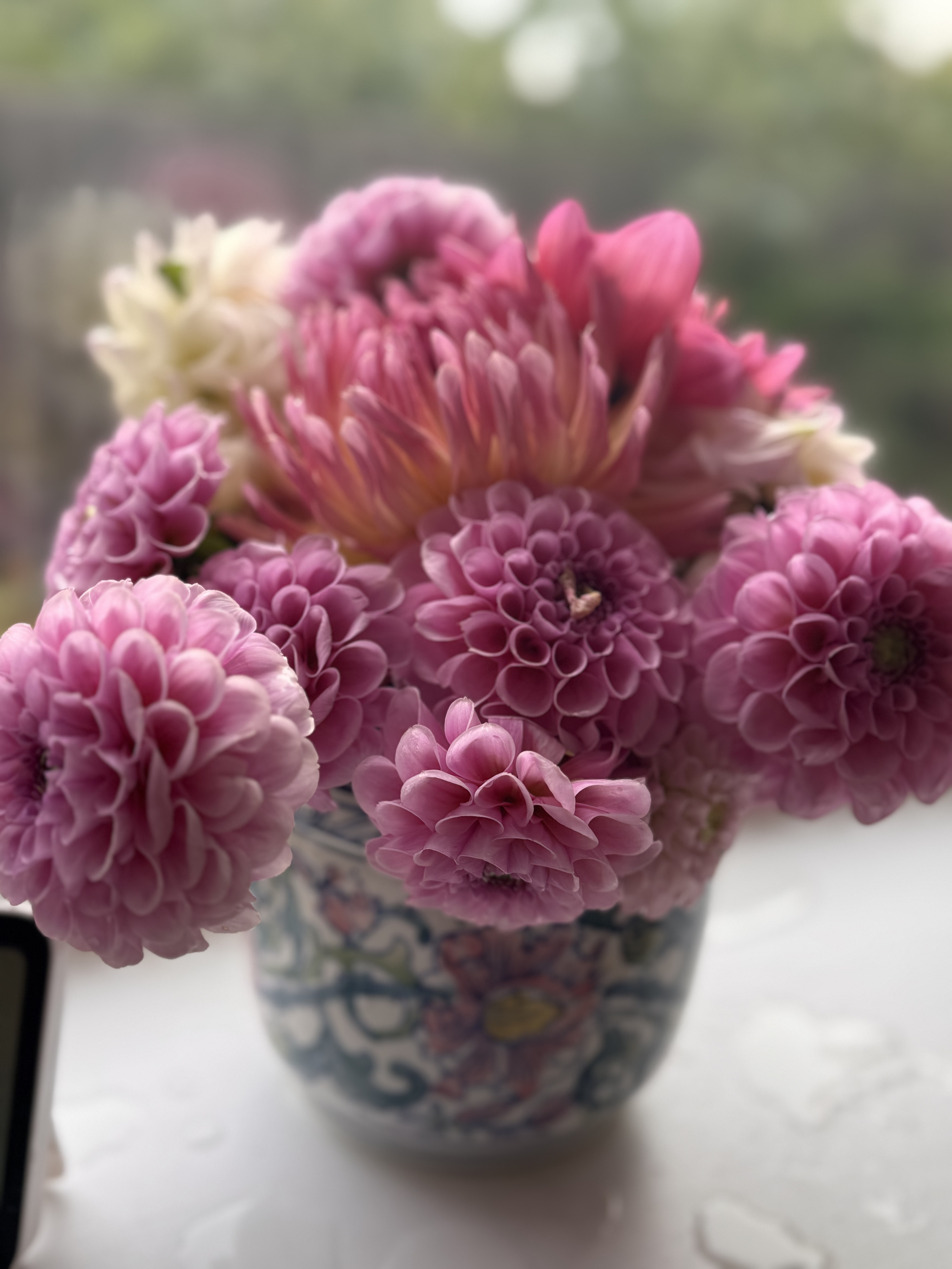 Pink roses - image 3 out of 5