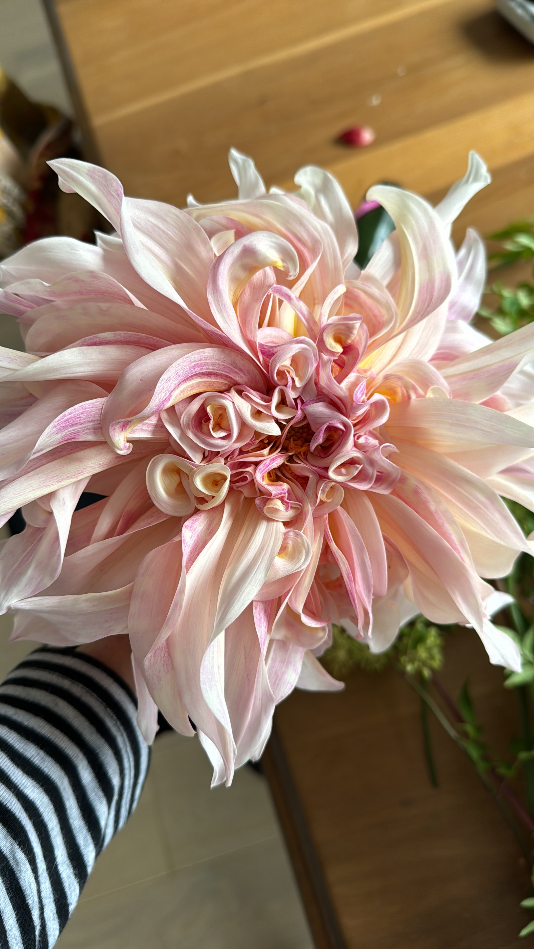 Bouquette of lilies and carnations